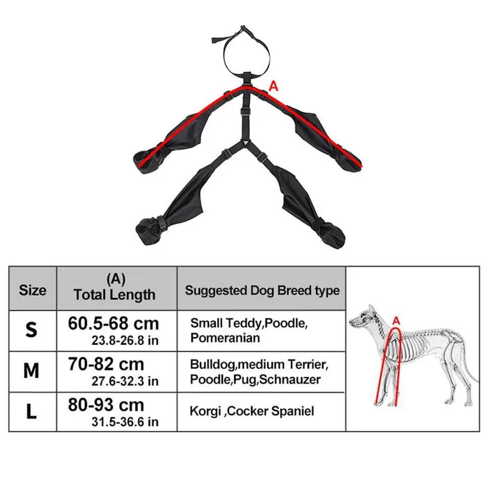 Bottes imperméables pour chiens