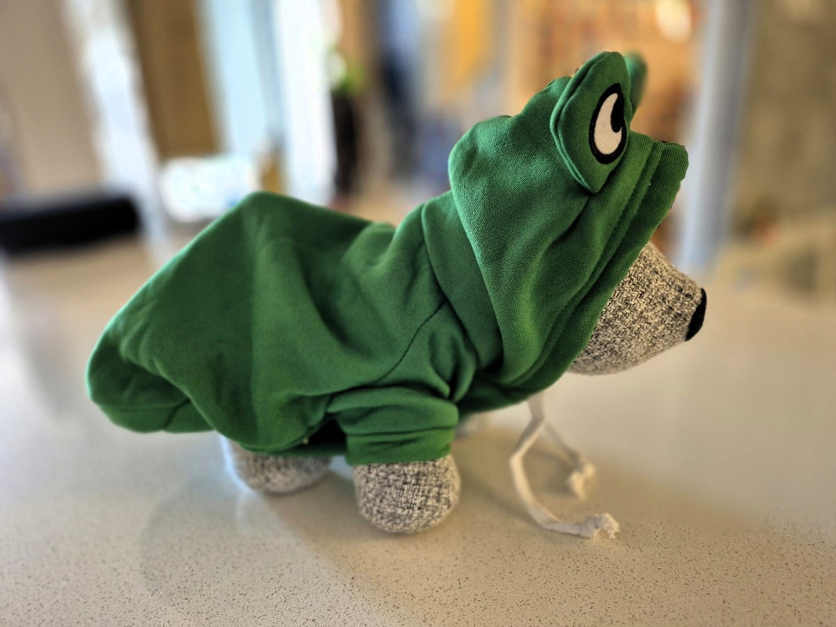 Déguisement de Grenouille