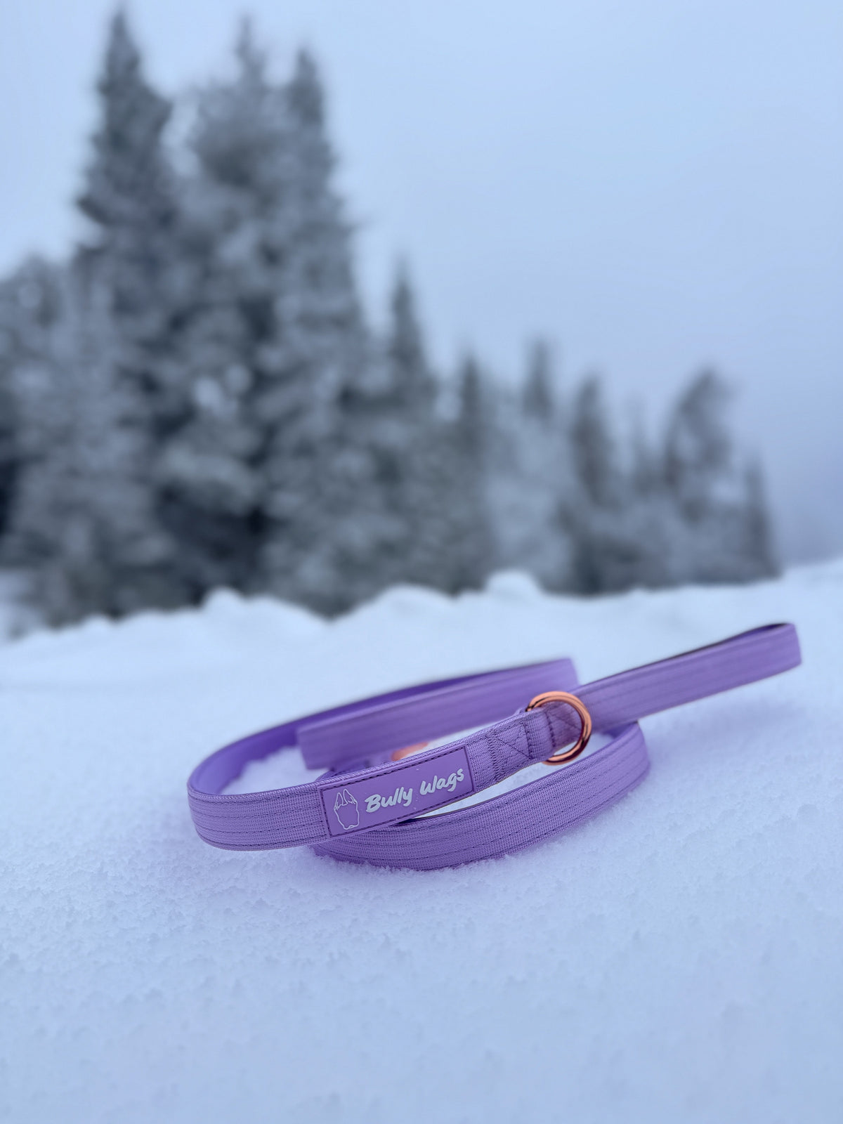 Laisse tactique - Lilas (Mauve)