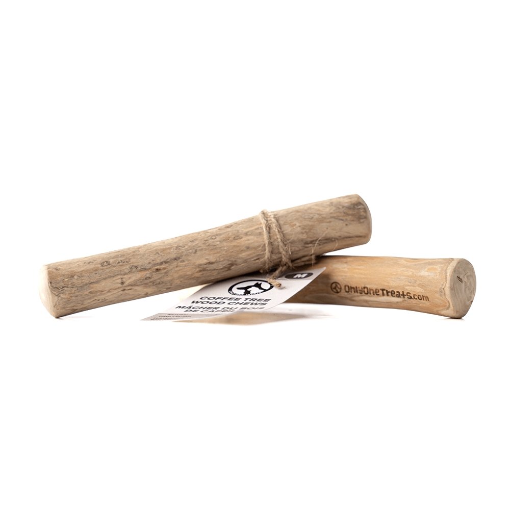 Bâtons à mâcher en bois de caféier - Medium