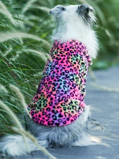 Manteau stylé pour chien - Urban Wild - pour moyen et grand chien