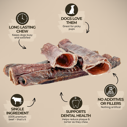 Trachées de boeuf enrobées de viande séchée - 12po