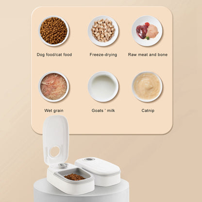Distributeur automatique intelligent de nourriture pour animaux