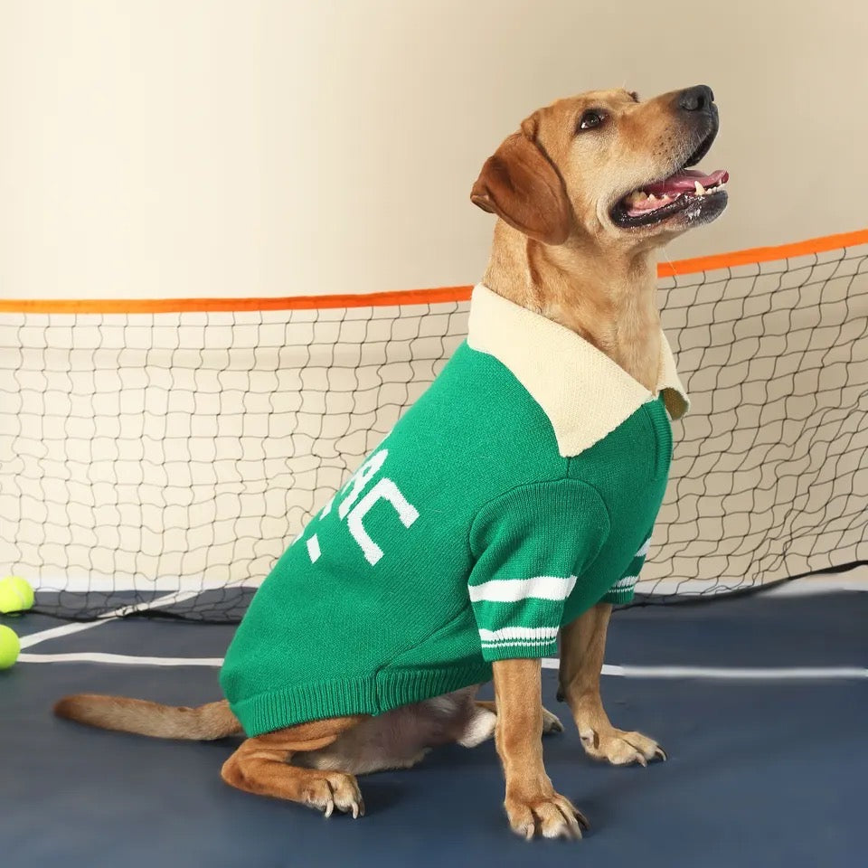 Chandail polo pour chien - Marley
