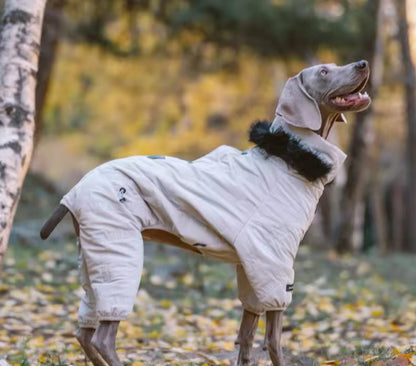 Manteau d'hiver pour chien - Hood