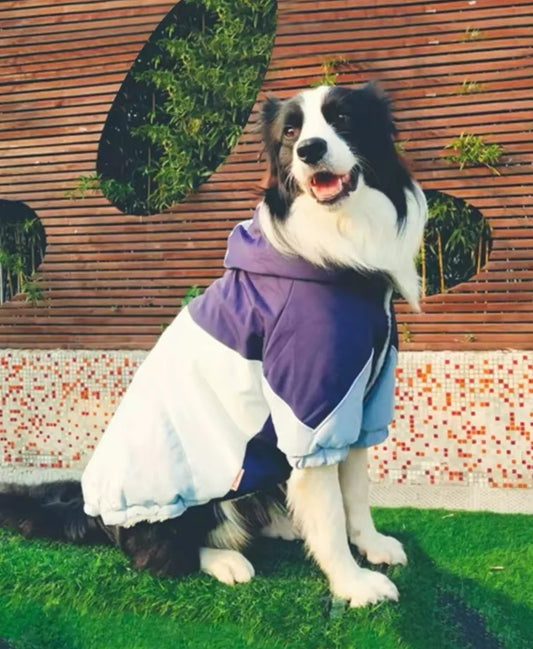 Manteau imperméable et réfléchissant pour chien