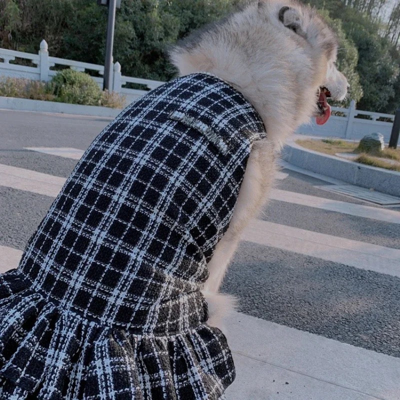 Robe pour chien - Chewnel