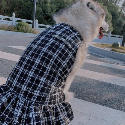 Robe pour chien - Chewnel