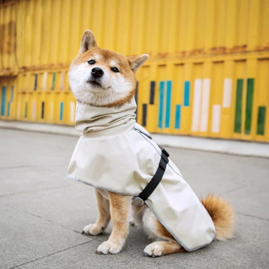 Manteau luxueux style Imperméable - London Dog