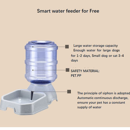 Distributeur automatique de nourriture avec caméra