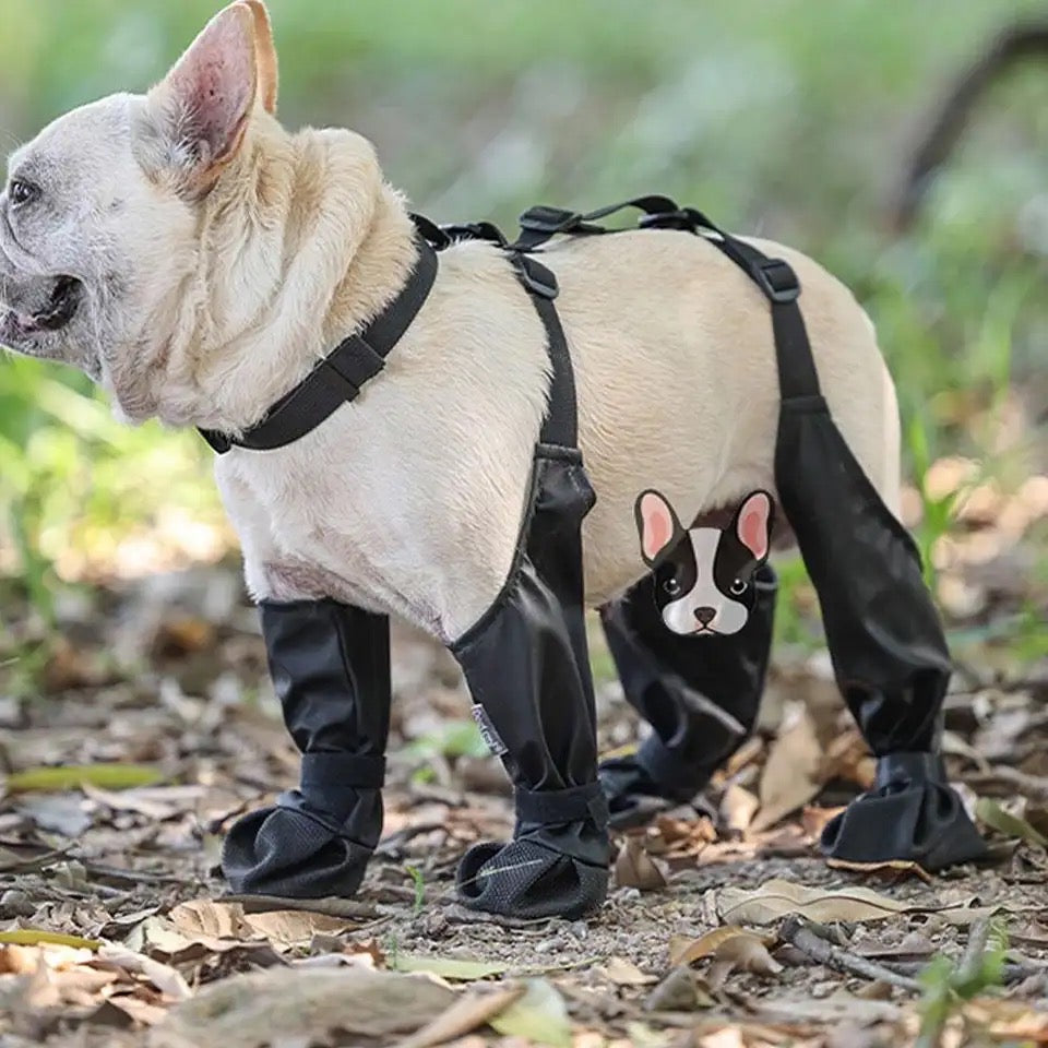 Bottes imperméables pour chiens