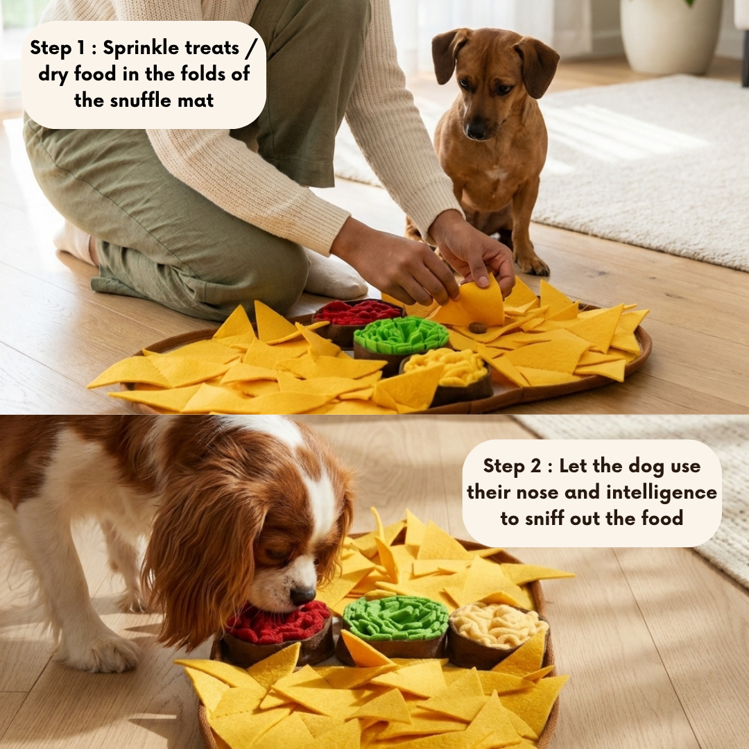 Tapis de fouille - Nachos au fromage