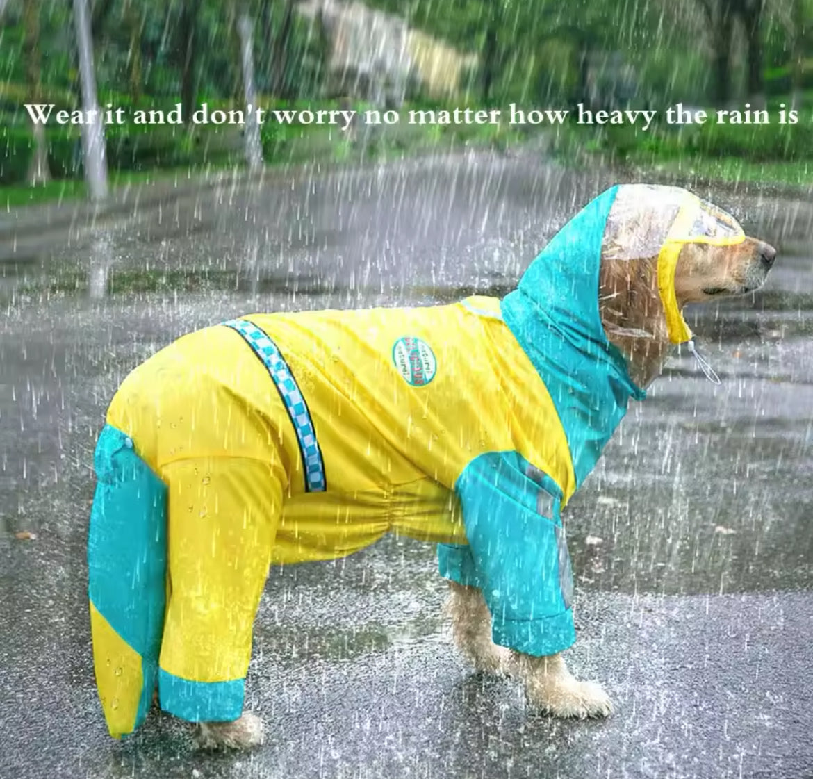 Combinaison imperméable - Vancouver Dog - Grand chien