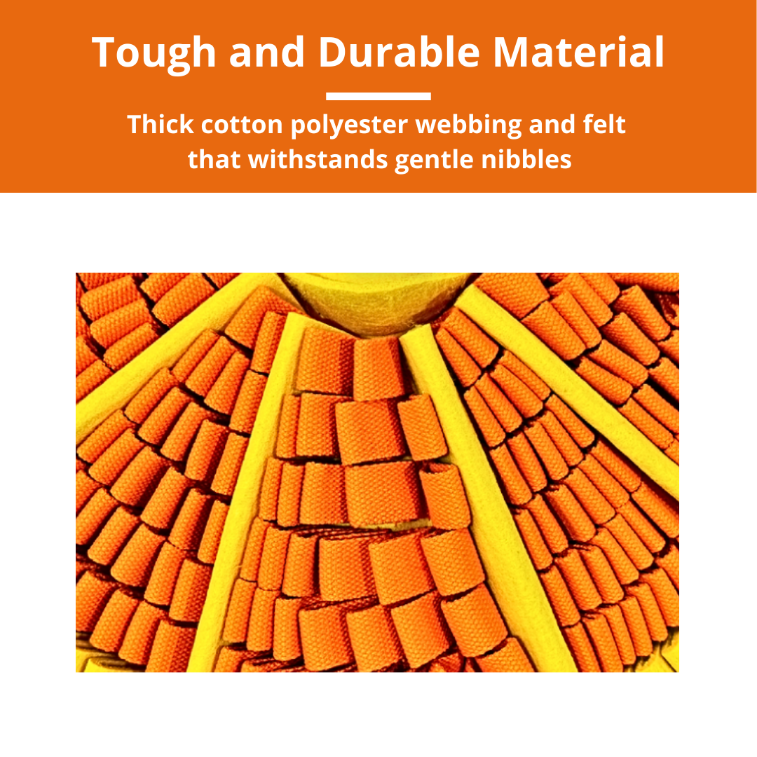 Tapis de fouille - Orange acidulée