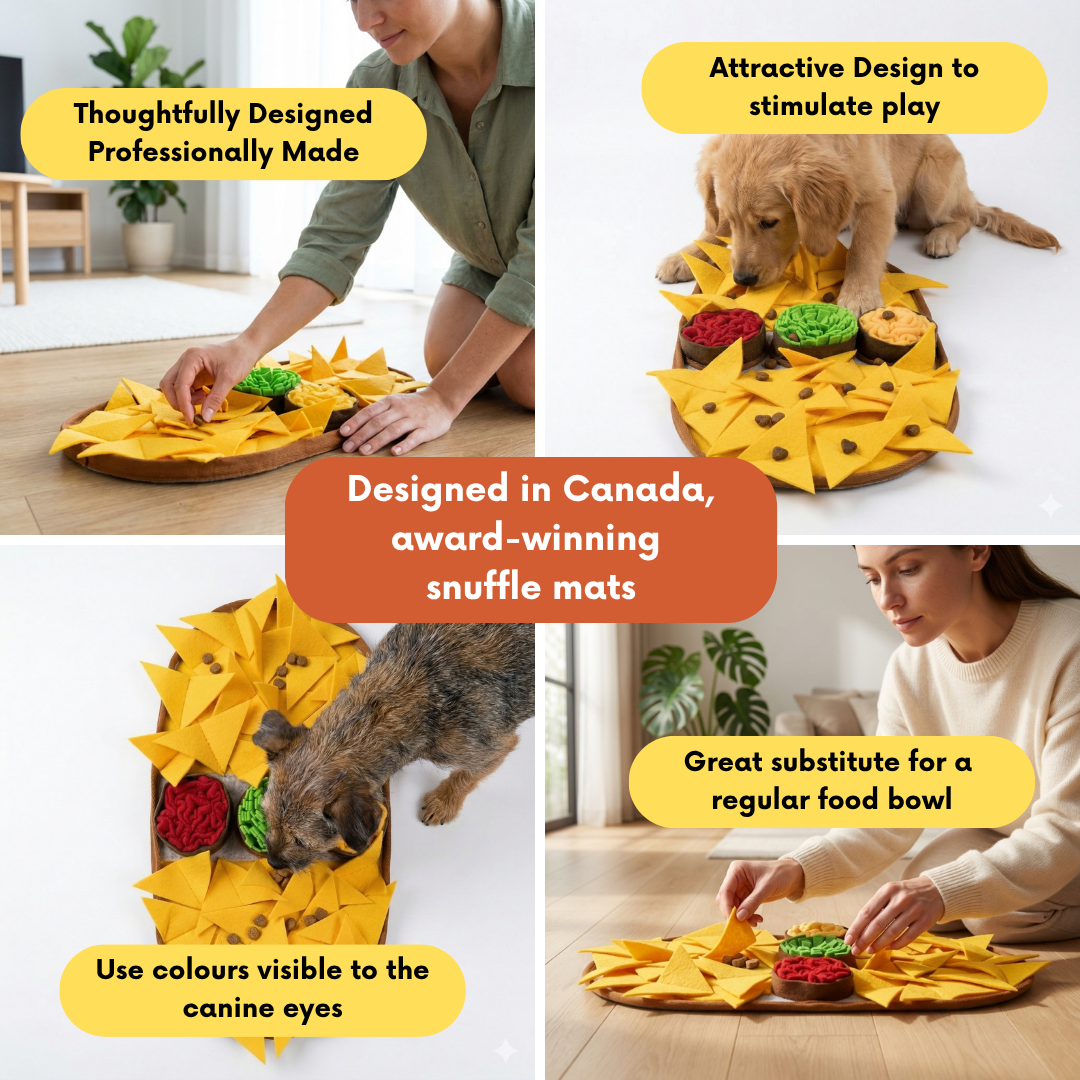 Tapis de fouille - Nachos au fromage