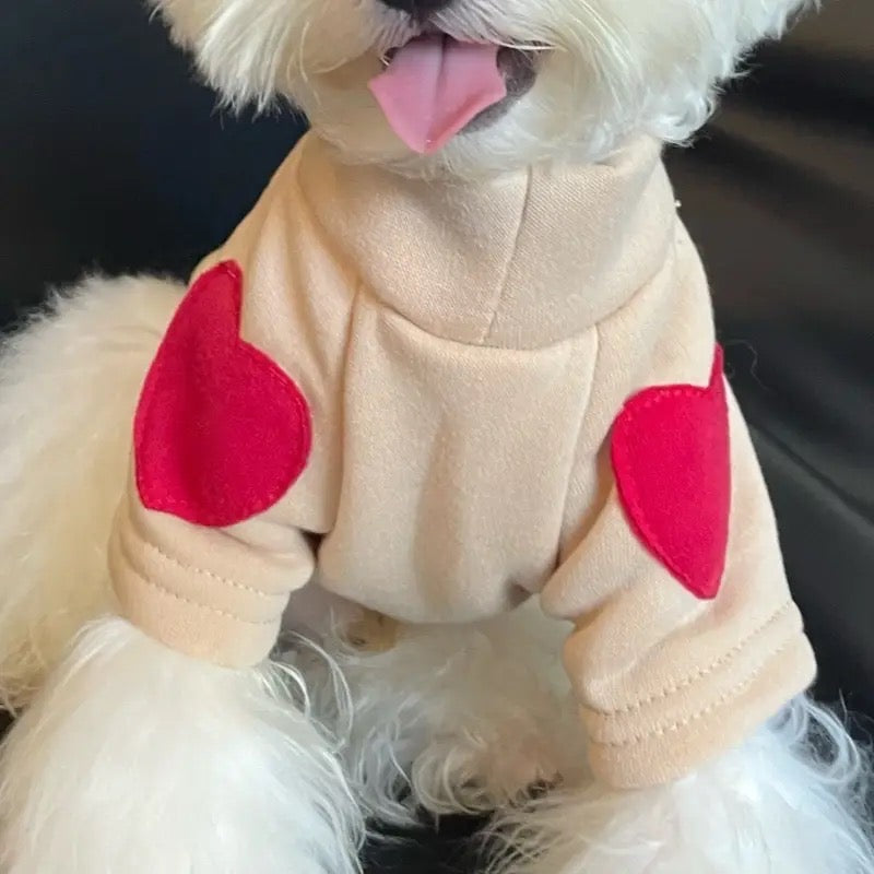 Chandail pour chien - "Le coeur sur la patte"