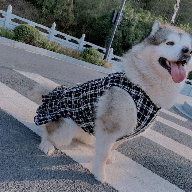 Robe pour chien - Chewnel