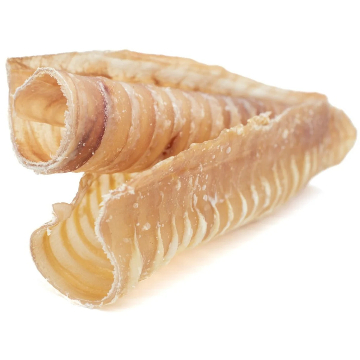Trachées de boeuf - 6po
