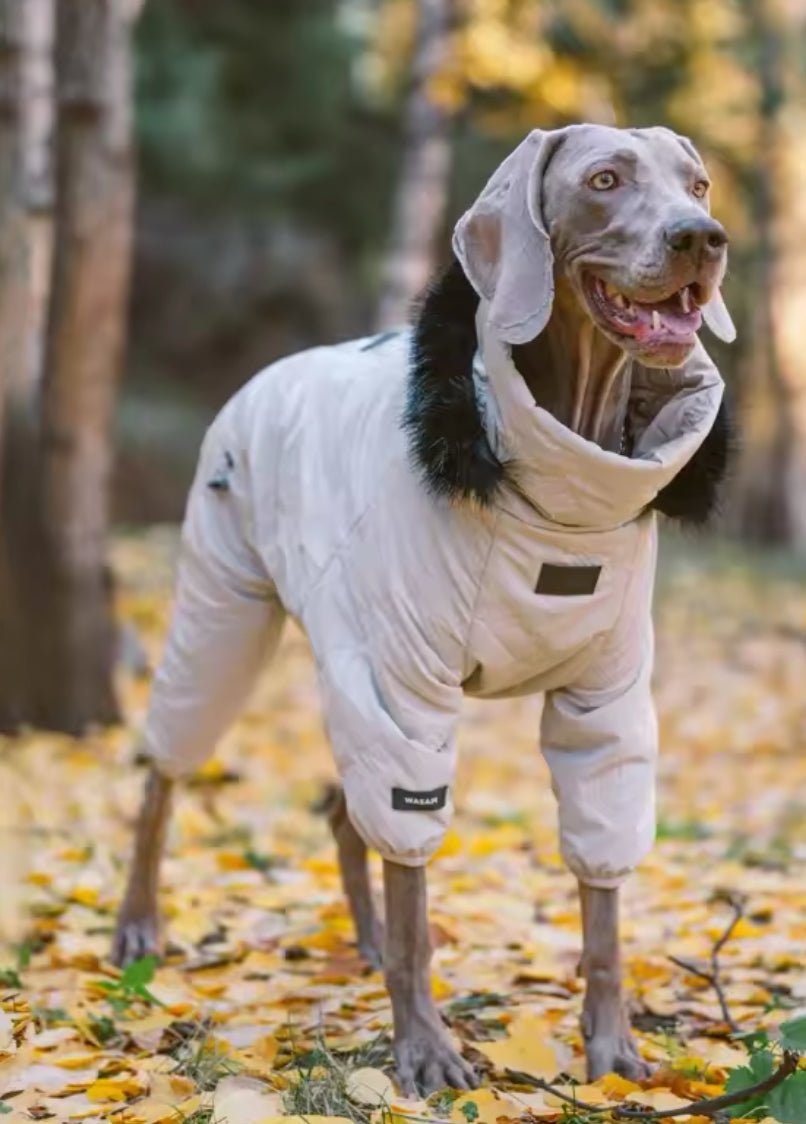 Manteau d'hiver pour chien - Hood