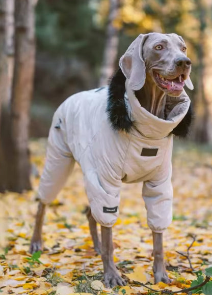Manteau d'hiver pour chien - Hood