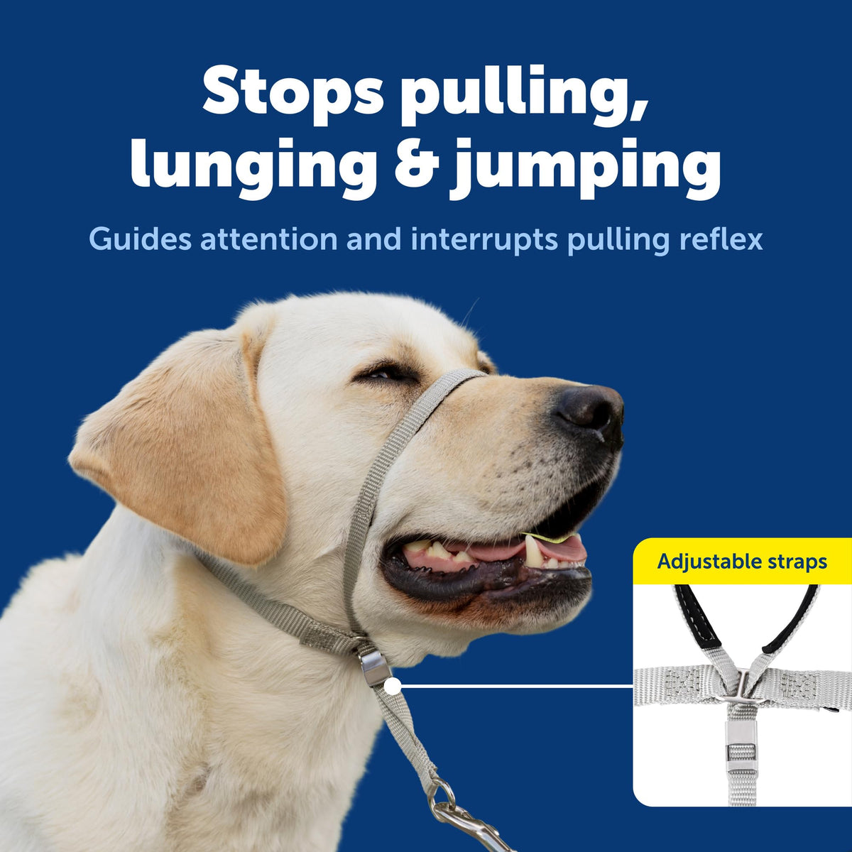 Collier de tête anti-traction (licou) - Petsafe