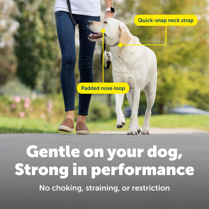 Collier de tête anti-traction (licou) - Petsafe