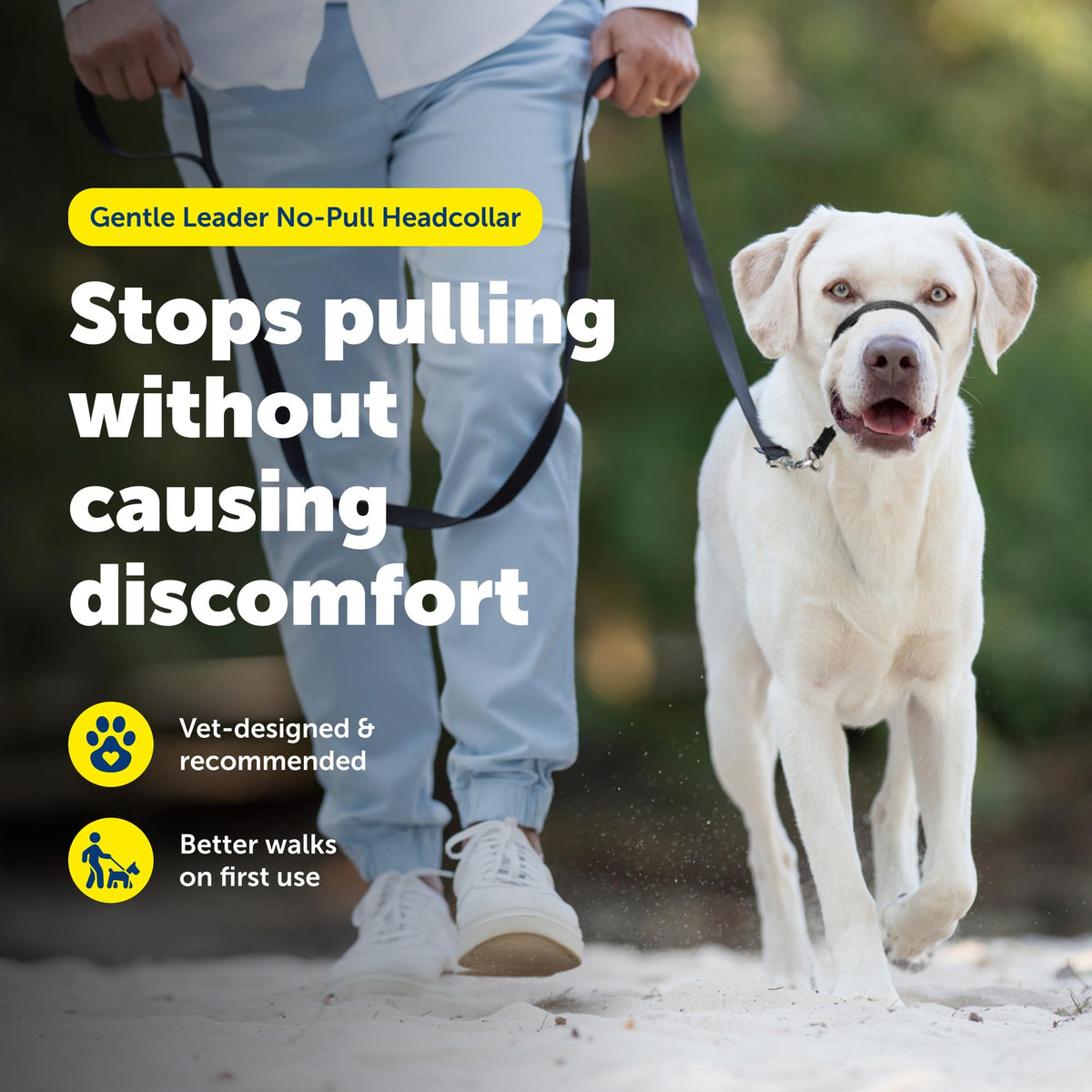 Collier de tête anti-traction (licou) - Petsafe