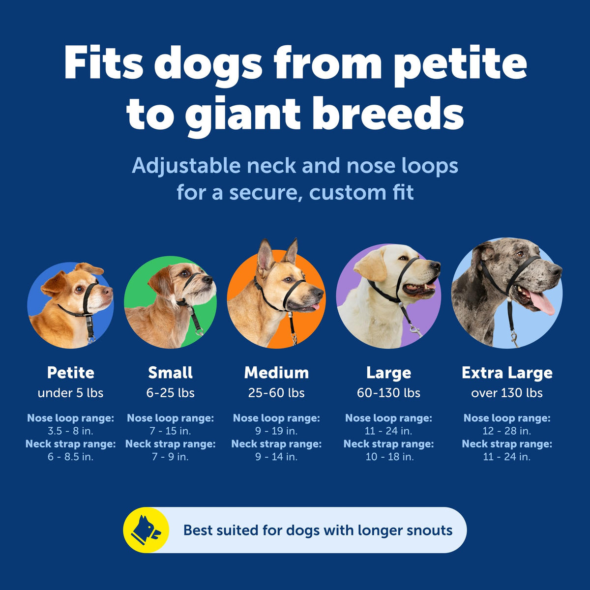 Collier de tête anti-traction (licou) - Petsafe