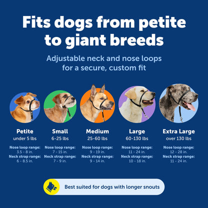 Collier de tête anti-traction (licou) - Petsafe