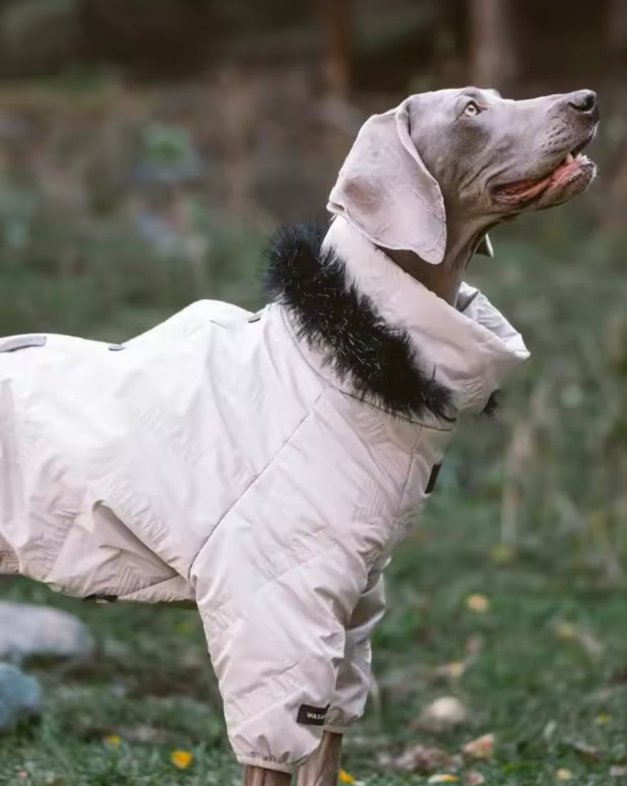 Manteau d'hiver pour chien - Hood