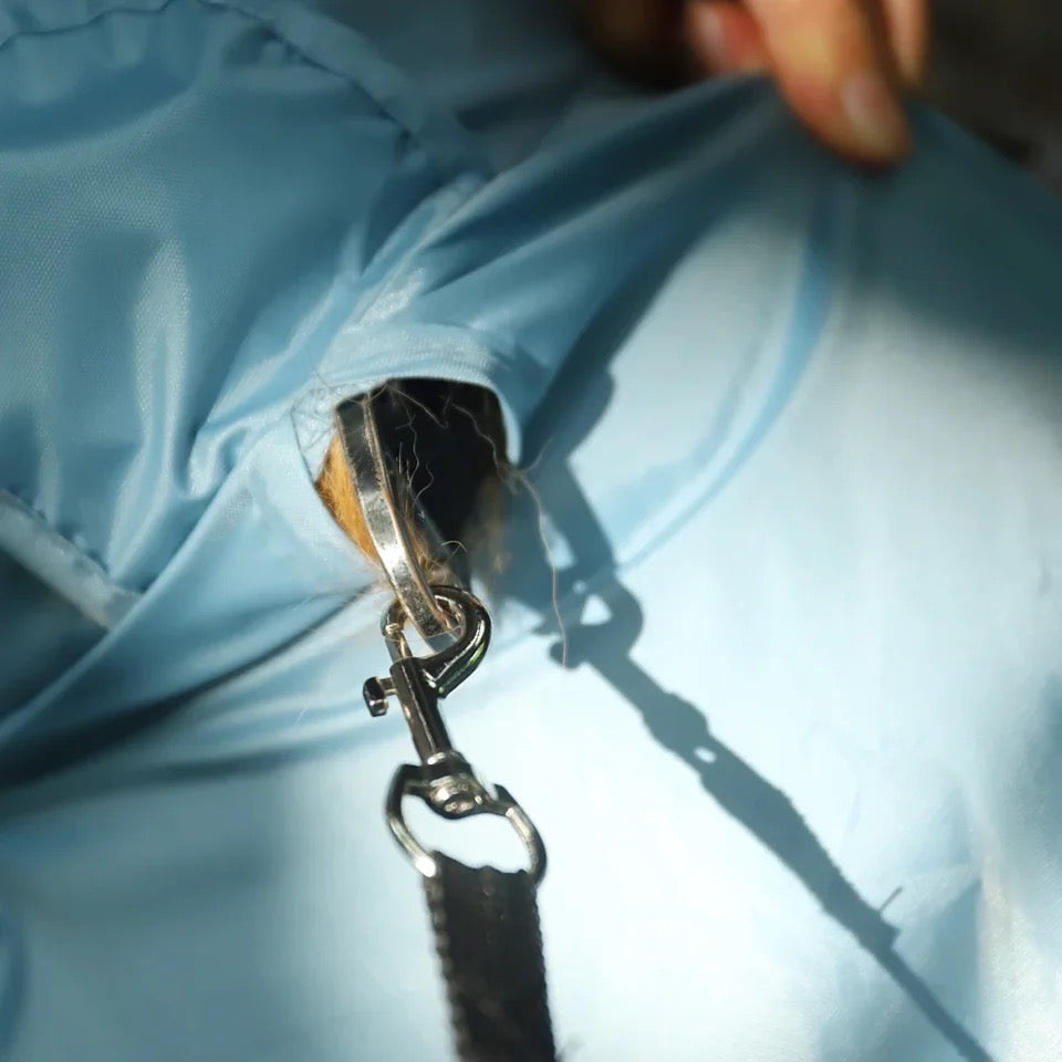 Combinaison imperméable pour chien