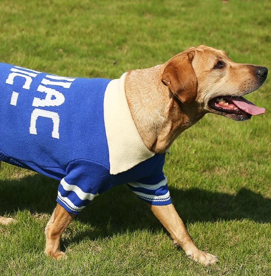 Chandail polo pour chien - Marley