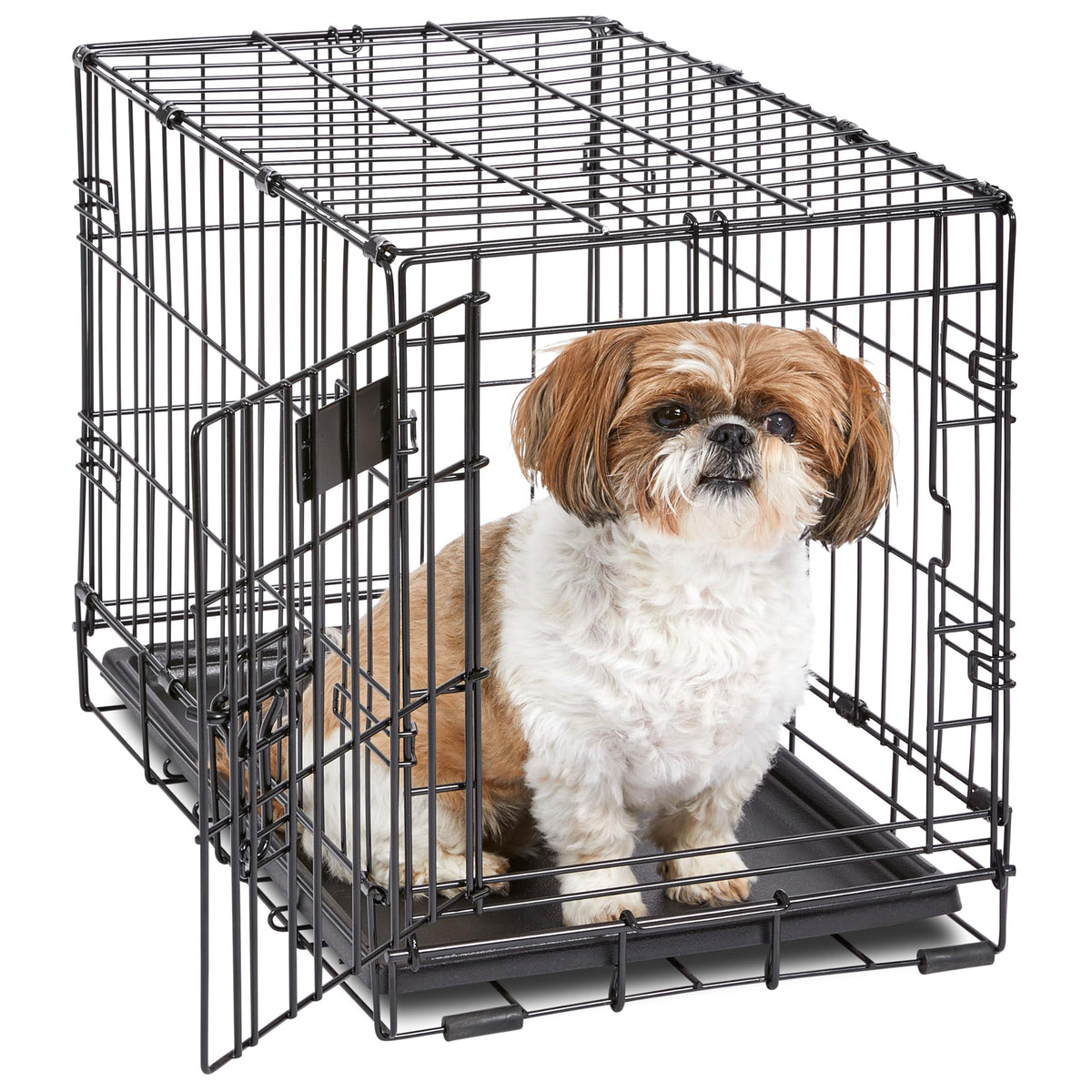 Cage pliable pour chien - 22po - très petite race