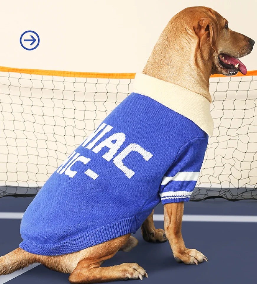 Chandail polo pour chien - Marley