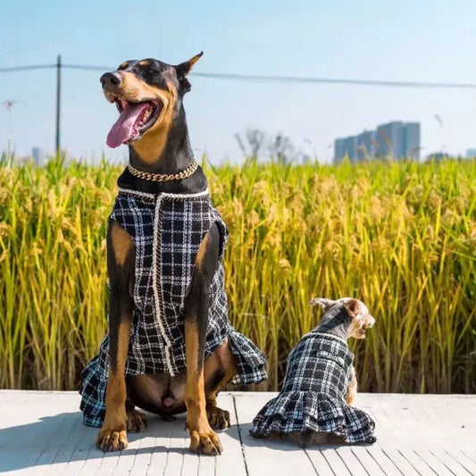Robe pour chien - Chewnel