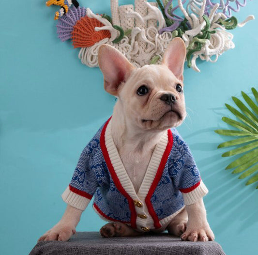 Veste en tricot pour chien - Gigi