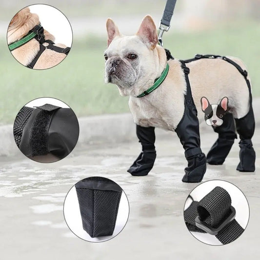 Bottes imperméables et isolantes pour chiens