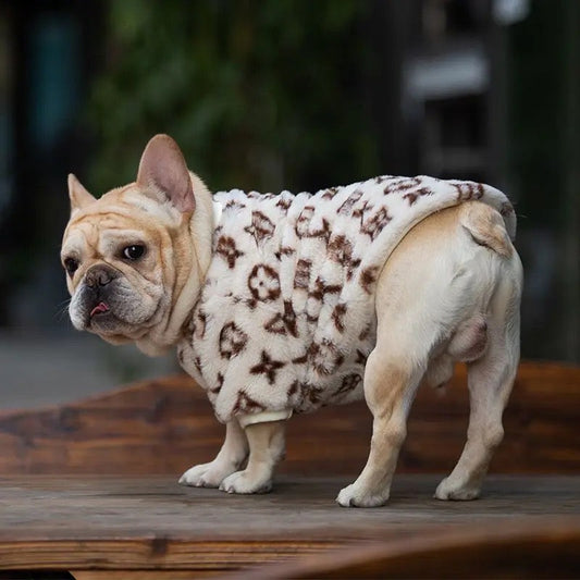Chandail pour chien | Chewy Vuitawn