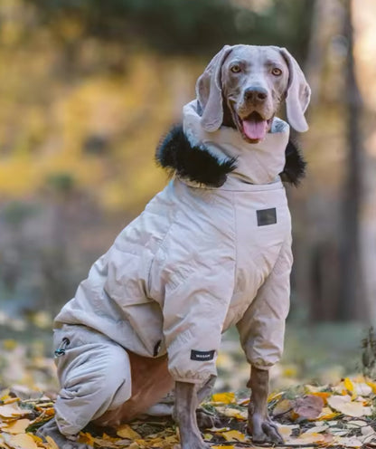 Manteau d'hiver pour chien - Hood