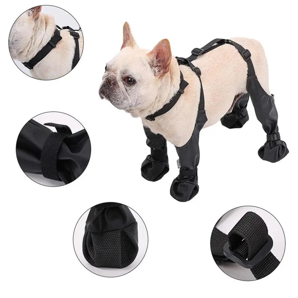 Bottes imperméables pour chiens