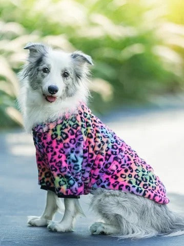 Manteau stylé pour chien - Urban Wild - pour moyen et grand chien