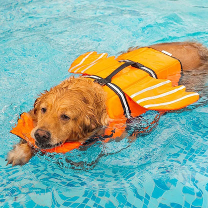 Gilet de sauvetage - Poisson Clown (Nemo)