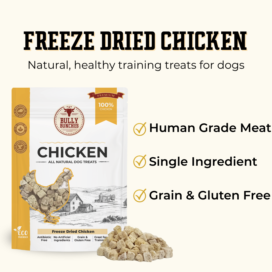 Gâteries déshydratées - Poulet - 100g / 3.5oz