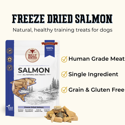 Gâteries déshydratées à froid - Saumon - 100g / 3.5oz