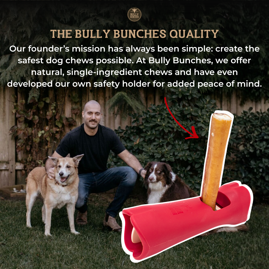 Support de sécurité pour Bully Sticks