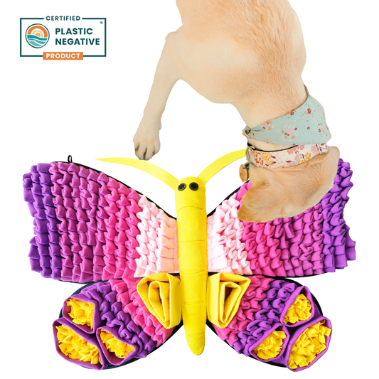 Tapis de Fouille - Papillon Radiant