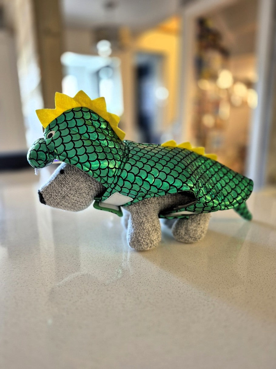 Déguisement de Dinosaure