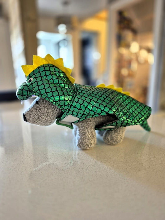 Déguisement de Dinosaure