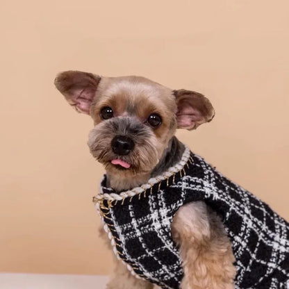 Robe pour chien - Chewnel