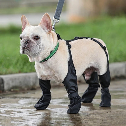 Bottes imperméables et isolantes pour chiens